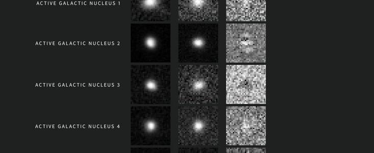 Examples of AGN Alerts from NSF–DOE Rubin Observatory